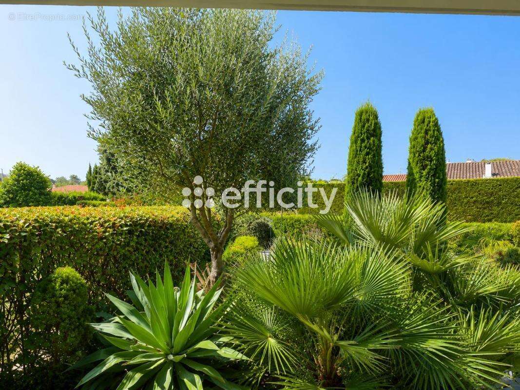 Appartement - photo 13