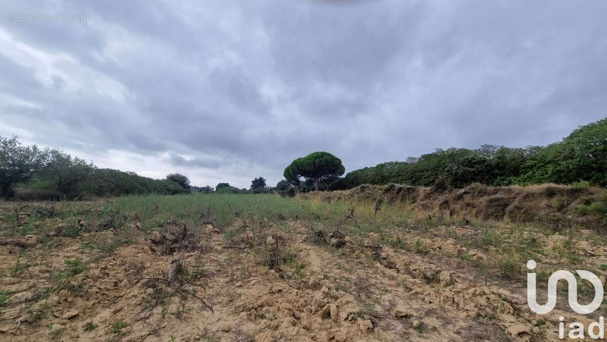 Photo 7 - Terrain à LEDENON