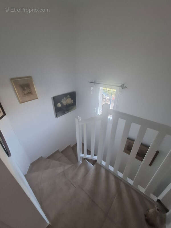 Maison à CHEVAL-BLANC
