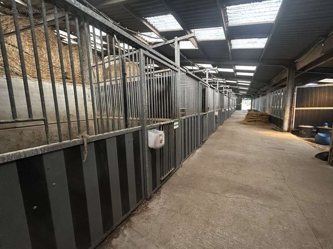 Propriete equestre - photo 5