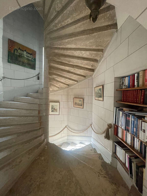 Magnifique Château  du 15ème à 2 pas d'Amboise - photo 3