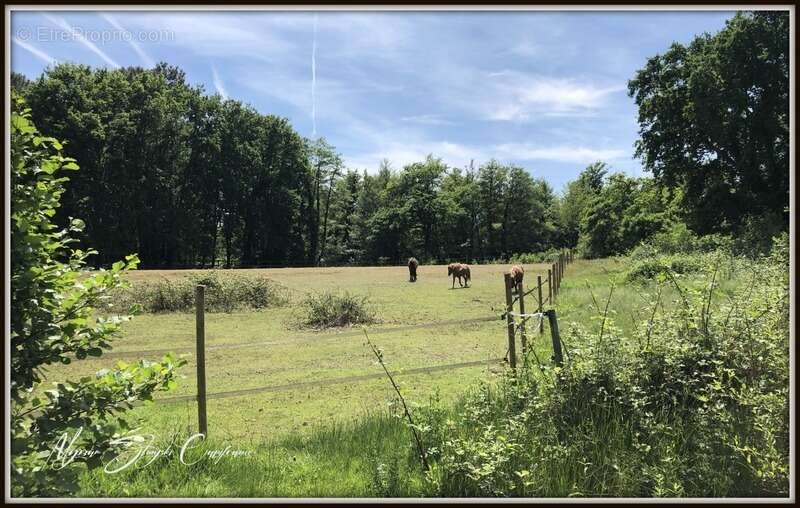 Maison à PARENTIS-EN-BORN
