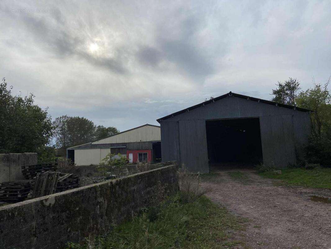 Maison 194 m² à Croix-En-Ternois  - photo 16