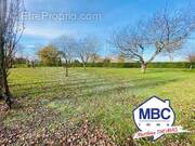 Terrain à LA BOISSIERE-DU-DORE