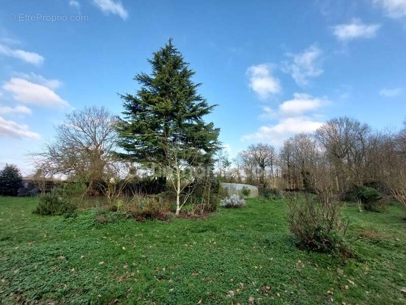 Maison à SAINT-MEEN-LE-GRAND