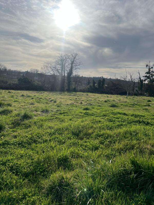 Terrain à SOULIGNAC