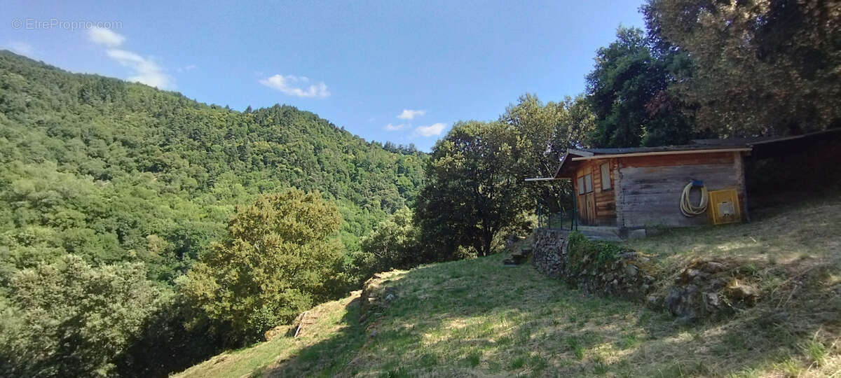 Maison isolée au sommet de 3 ha de bois - photo 12