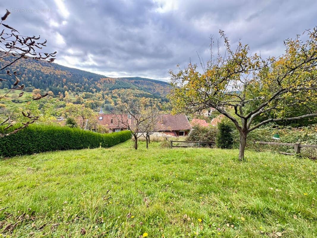 Maison à NATZWILLER