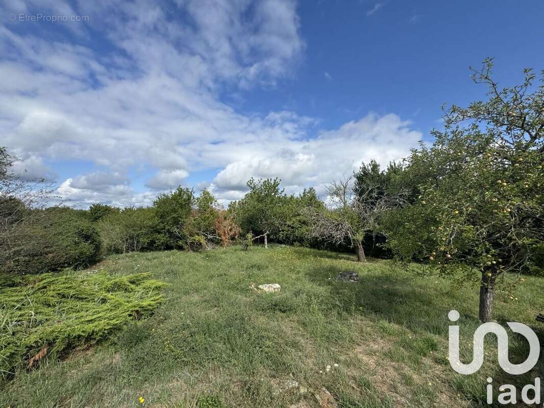 Photo 3 - Maison à CHINON
