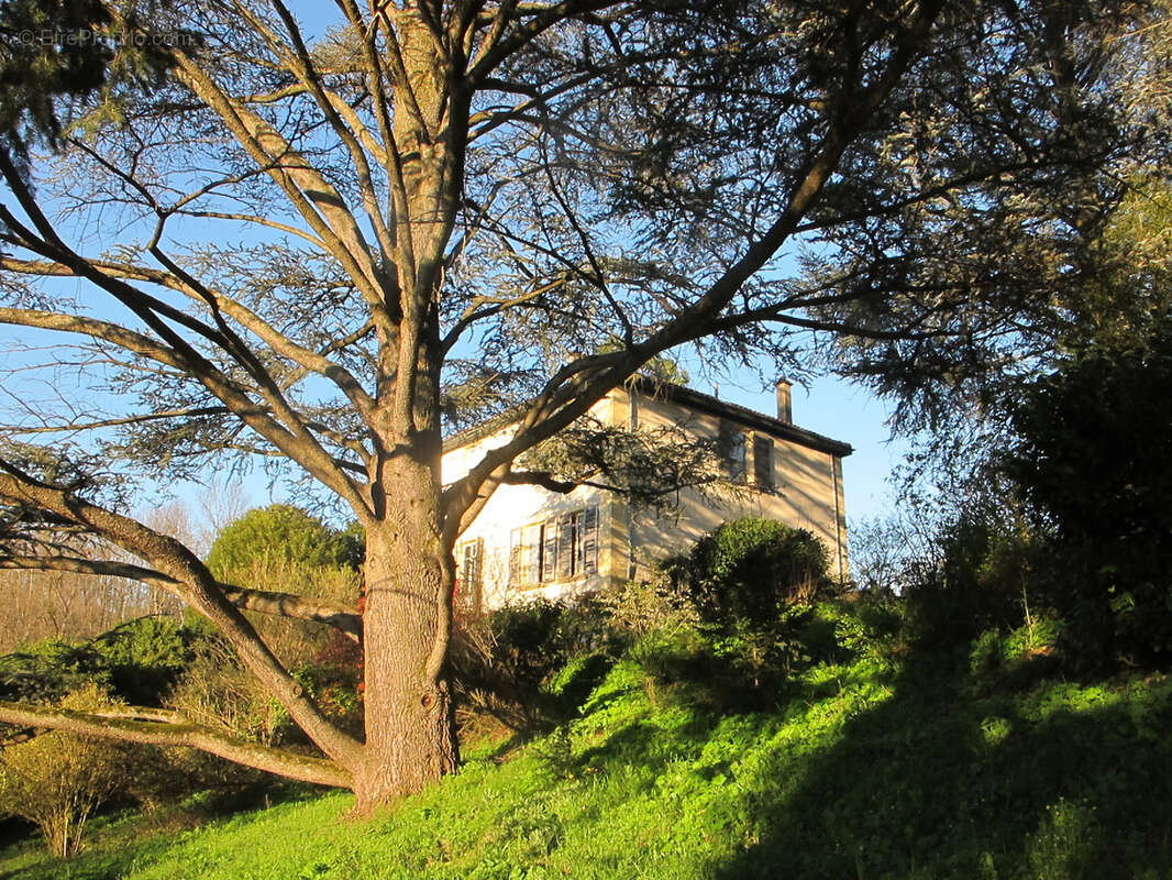 Maison à ECULLY