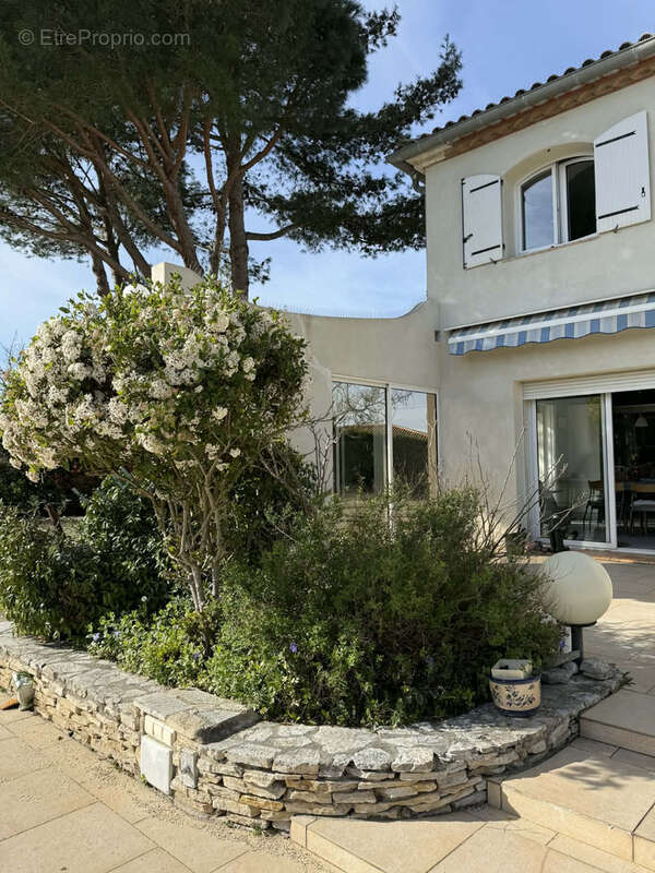Maison à CARCASSONNE