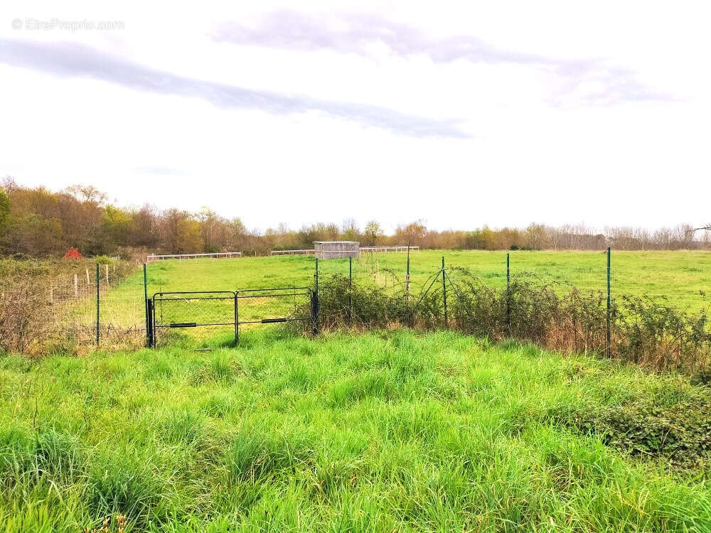 Maison à ARBLADE-LE-HAUT