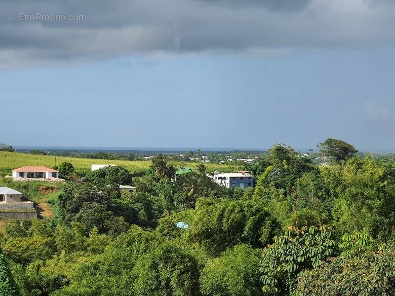 Maison à PETIT-BOURG
