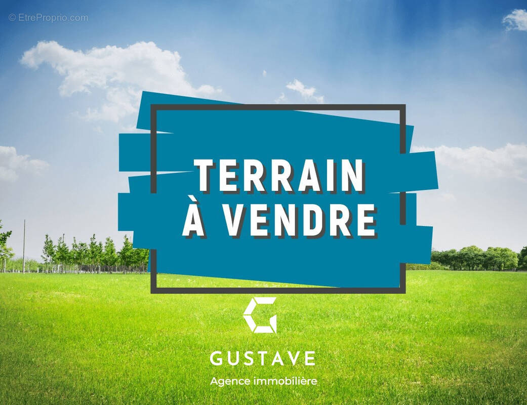 Terrain à IZIER