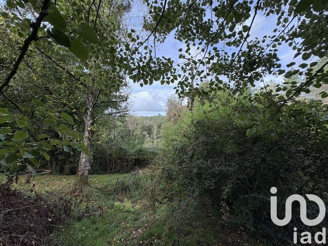 Photo 6 - Terrain à VILLEFRANCHE-DE-LONCHAT