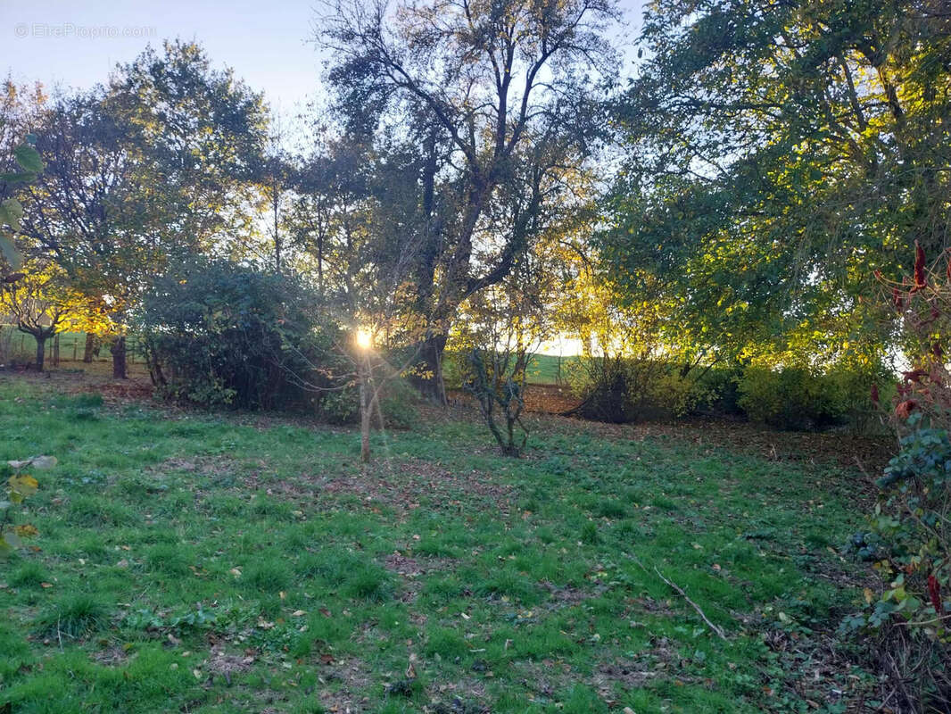 Maison à NEUFCHATEL-EN-BRAY