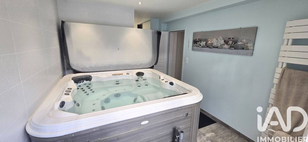 Photo 1 - Maison à SAINT-DENIS-EN-VAL