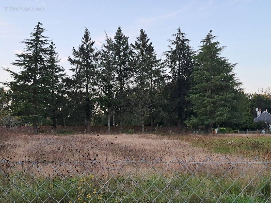 Terrain à SENNELY