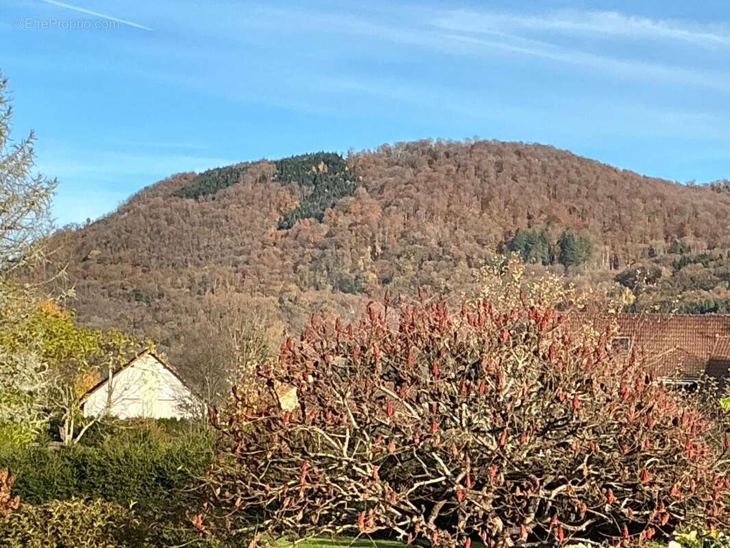 Photo 4 - Maison à SAINT-BARTHELEMY