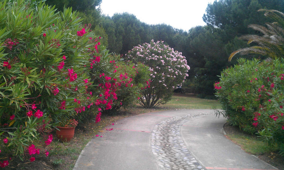 Maison à LAROQUE-DES-ALBERES