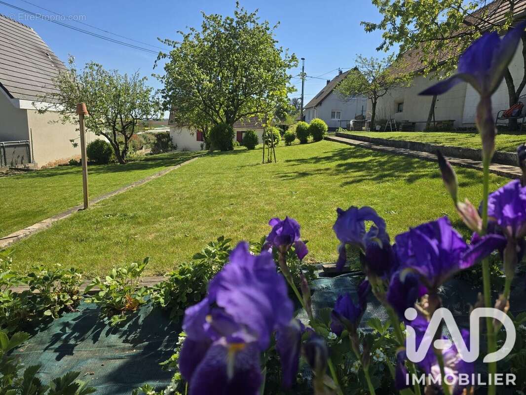 Terrain 466 m² à Waltenheim-Sur-Zorn  - photo 5