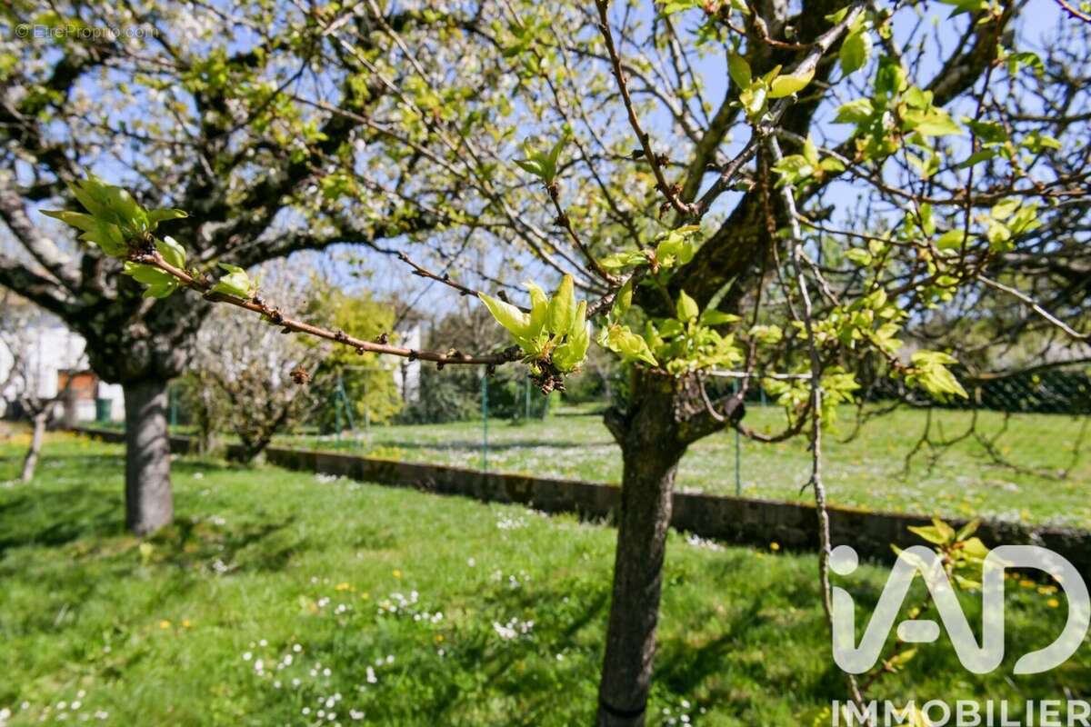 Photo 2 - Terrain à NIORT