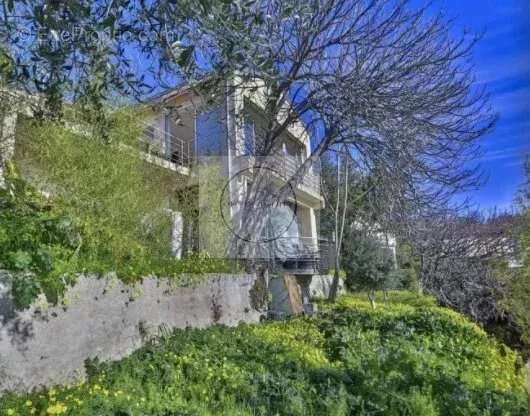 Maison 187 m² à Nice  - photo 13