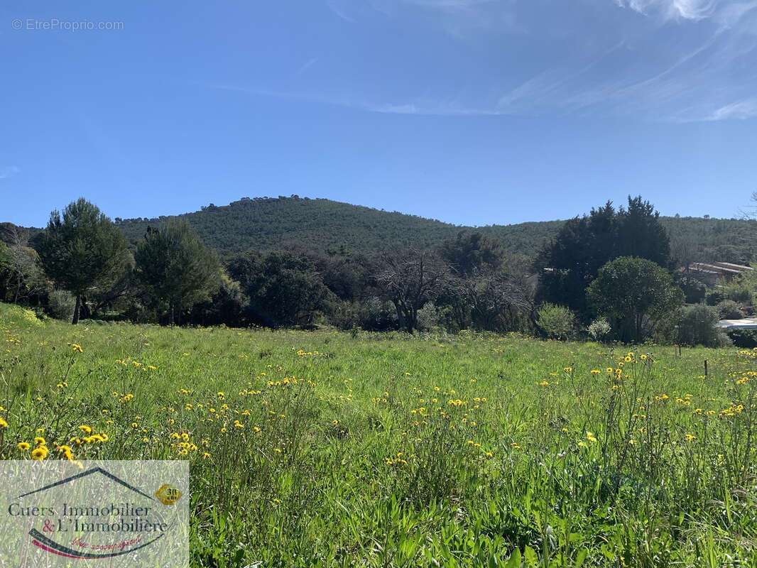 Terrain à LE PRADET