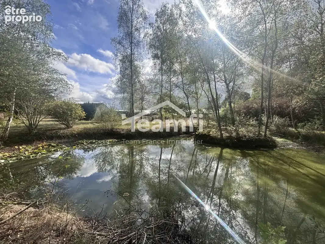 Maison 7 pièces 351 m² à vendre à Vitry-Aux-Loges (45530) - photo 2