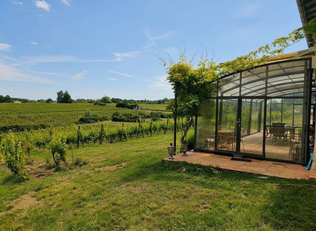 Maison de maitre  300 m² -12 pieces - dependances - photo 4