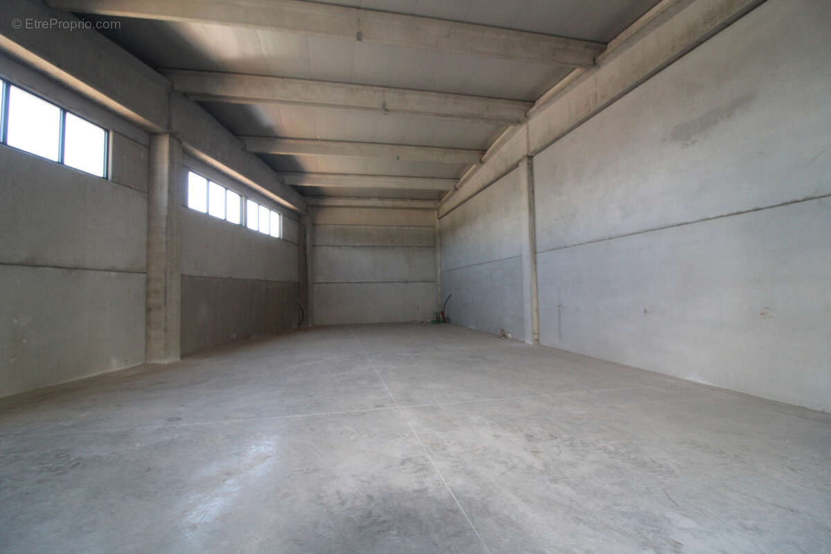 Commerce à PUGET-SUR-ARGENS