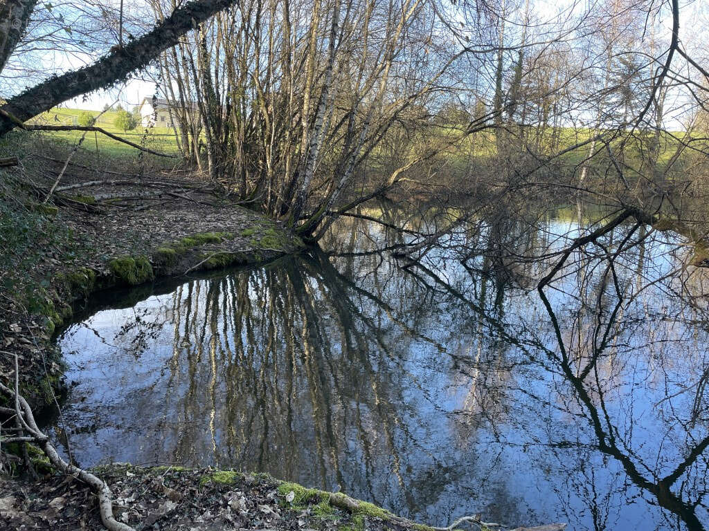 Concèze, proche du bourg, étang 2000 m2 aux normes - photo 3