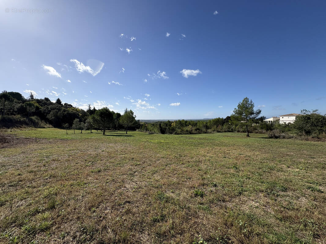 Terrain à CALVISSON