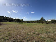 Terrain à CALVISSON