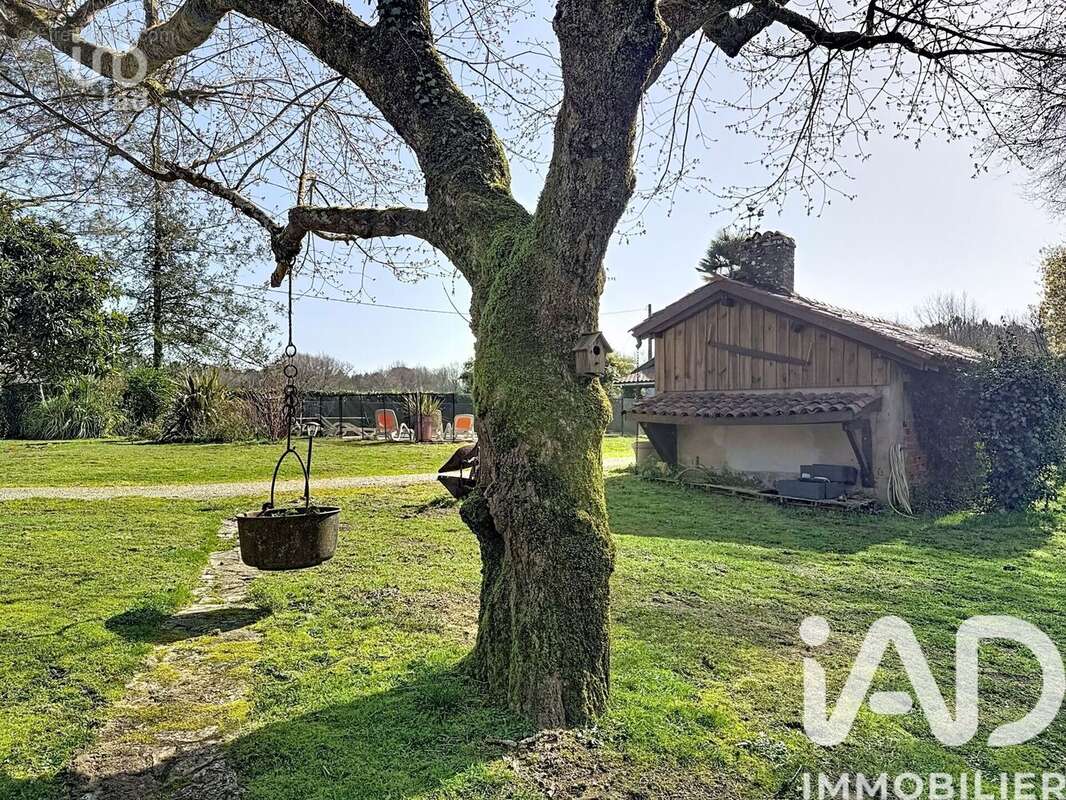 Photo 3 - Maison à MAGESCQ