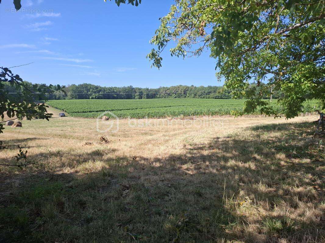 Terrain à bâtir de 1383 m² - Mérignas (33350) - photo 2