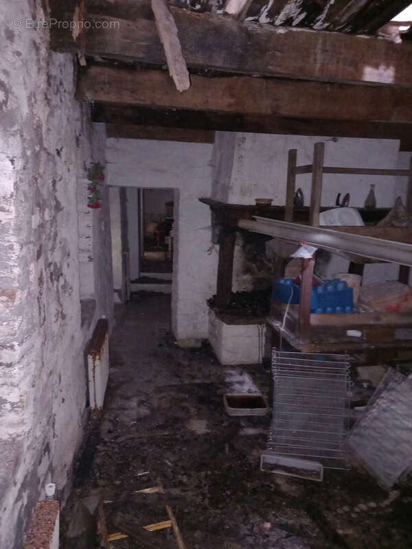 Unique ! ancienne Ferme à rénover sur 15Ha de patures et bois . - photo 31