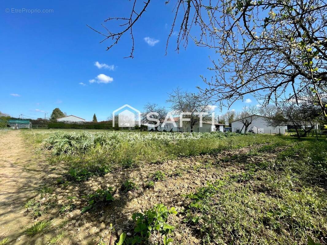 Photo 1 - Terrain à MONCOUTANT