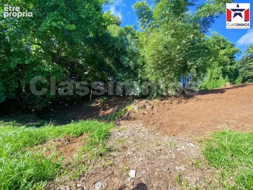 Terrain 1 882 m² à vendre à Le Lamentin (97232) - photo 5