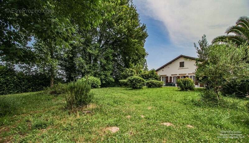 La métairie de Lagouarde à Pouillon de 1,3 hectare - photo 21