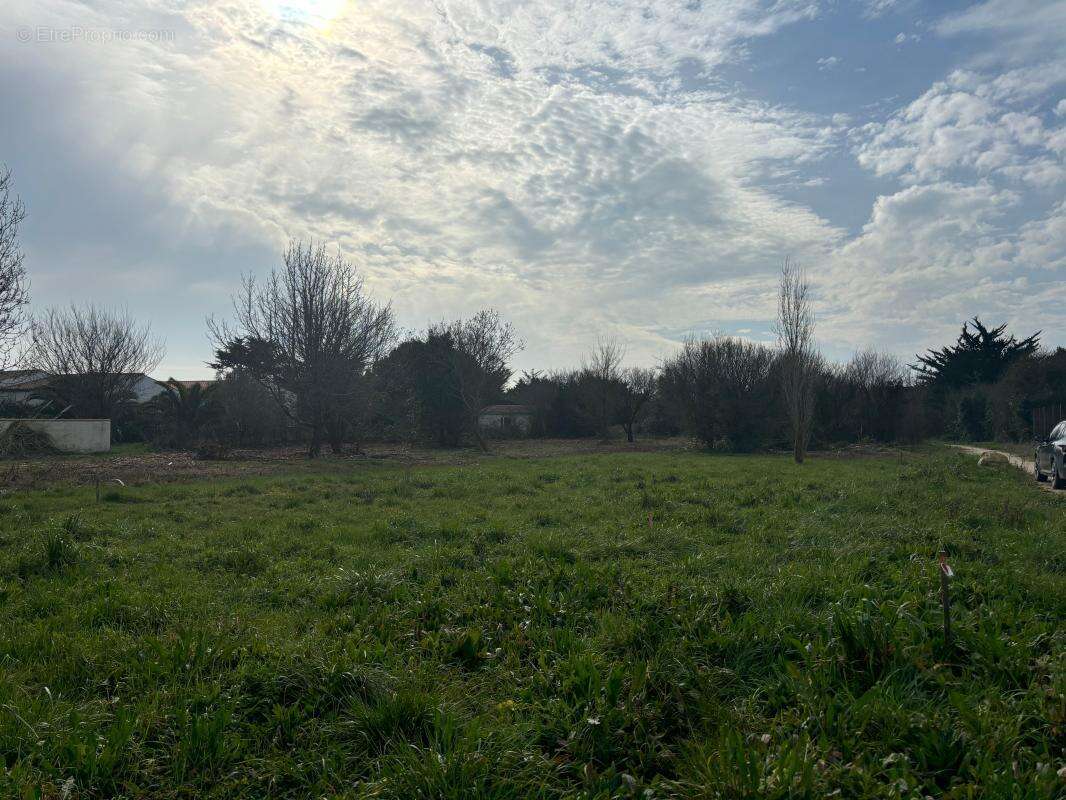 Terrain à SAINT-GEORGES-D&#039;OLERON