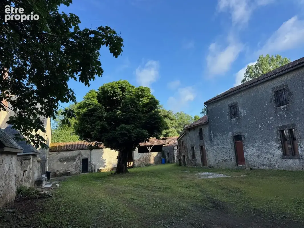 Maison 253 m² à Breuil-Barret  - photo 6