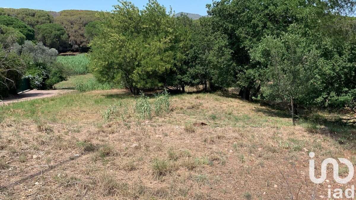 Photo 2 - Terrain à FREJUS