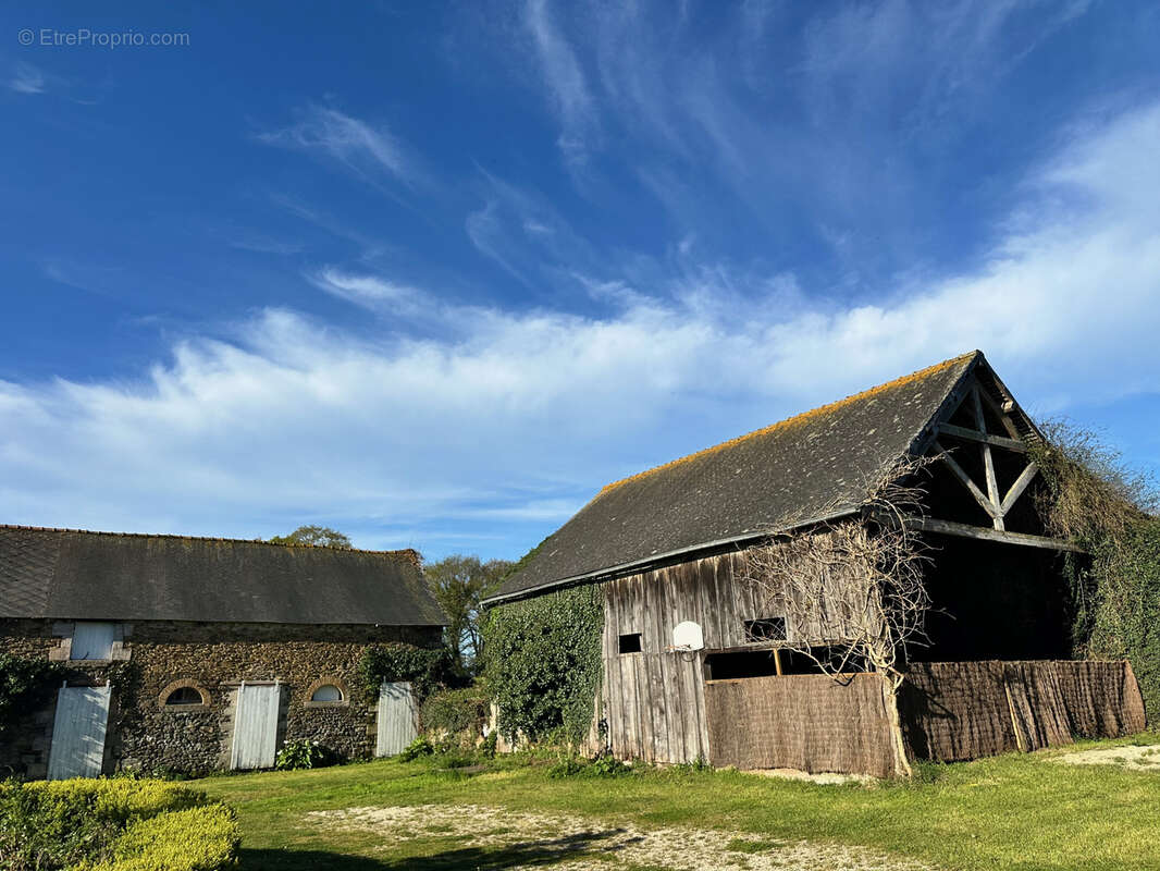 Maison à LAMBALLE