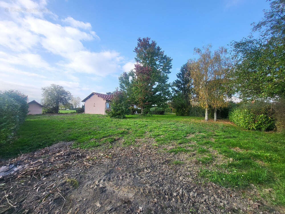 Terrain à SAINT-MARCEL