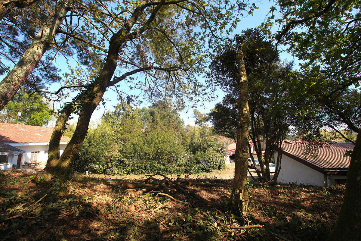 Terrain à CAPBRETON