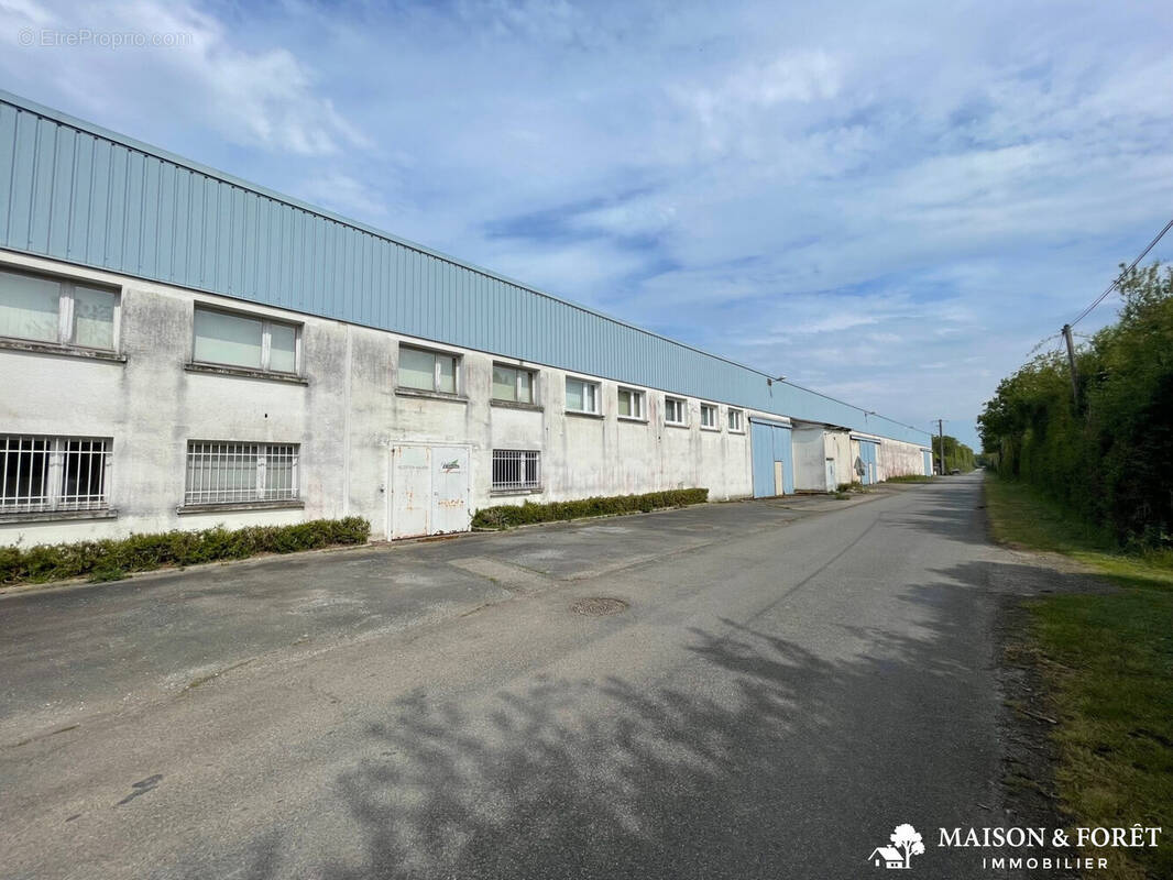 Commerce à CHAMPOULET