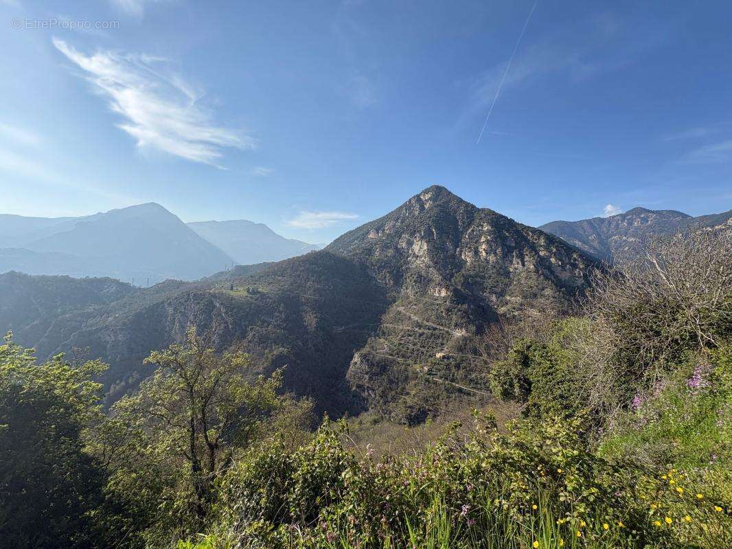 Maison à SAINT-SAUVEUR-SUR-TINEE