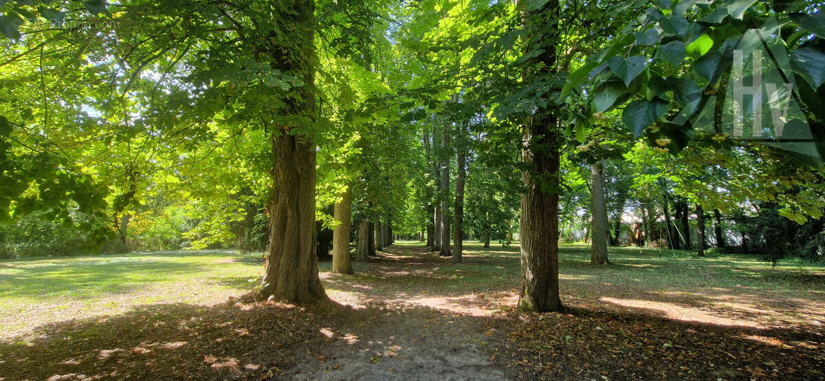 Maison bourgeoise située entre Bray-sur-Seine et Nogent-sur-Seine - photo 2