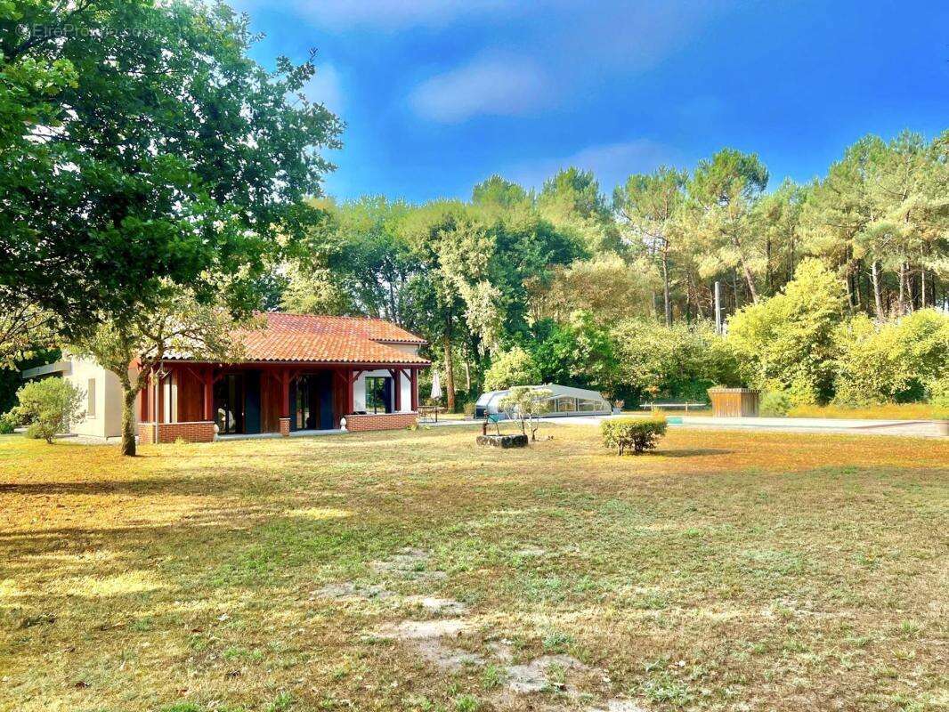 Sanguinet - maison 210 m² sur 1,3 ha - piscine & pool house - photo 7
